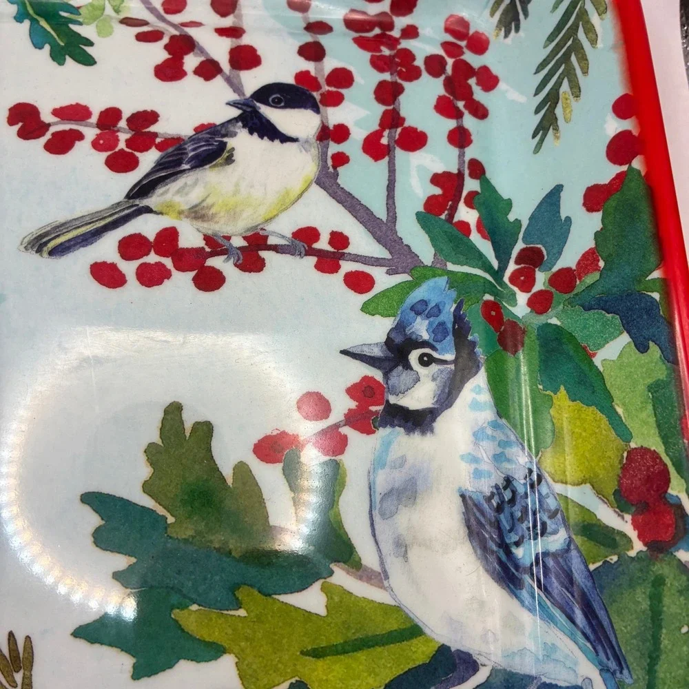180 Degrees design by Casey Krimmel Melamine Tray Winter Birds Platter